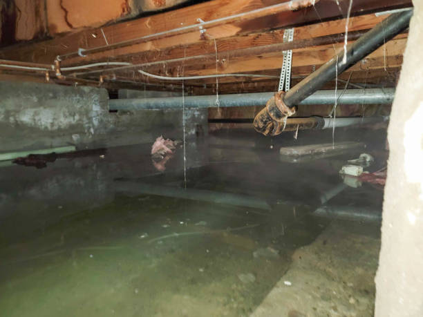 Best Emergency water damage restoration  in Wakeman, OH