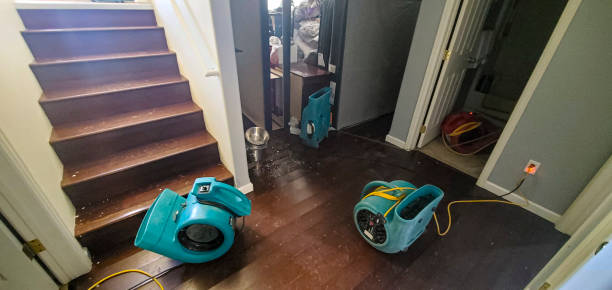 Best Flood damage cleanup  in Wakeman, OH
