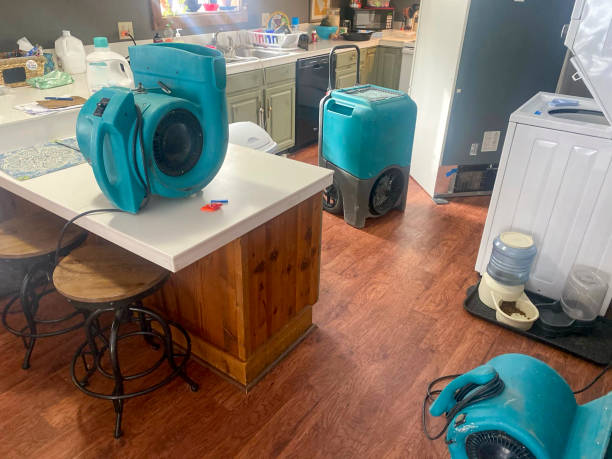 Best Local water damage restoration  in Wakeman, OH
