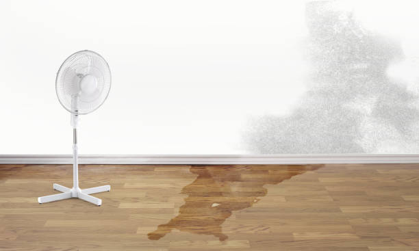 Best Emergency water damage restoration  in Wakeman, OH