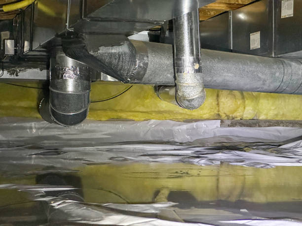 Best Basement water damage restoration  in Wakeman, OH