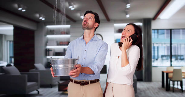 Best Basement water damage restoration  in Wakeman, OH